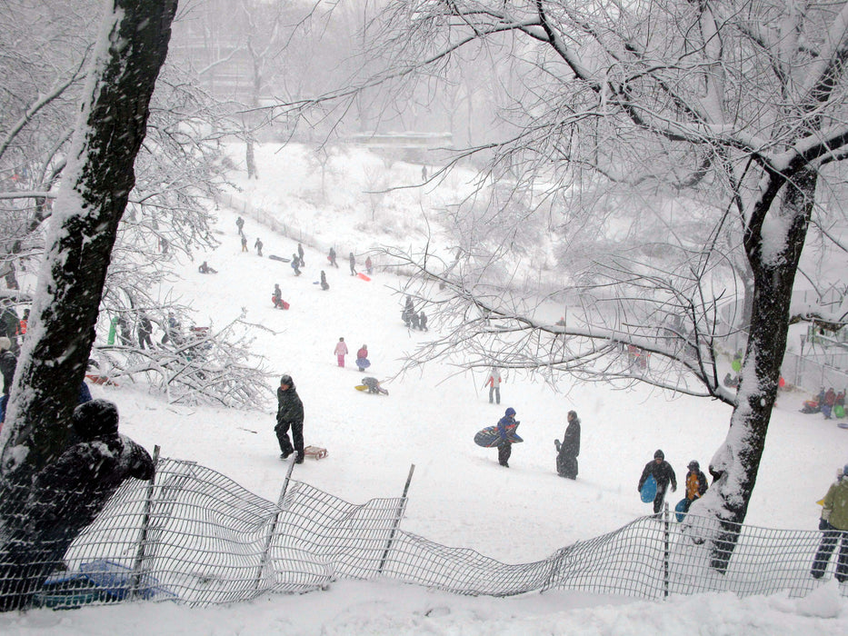 City Blizzard brings Sleds Out