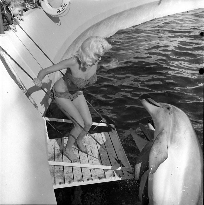 Jayne Mansfield with Dolphin I