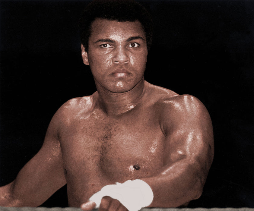 Muhammad Ali Portrait