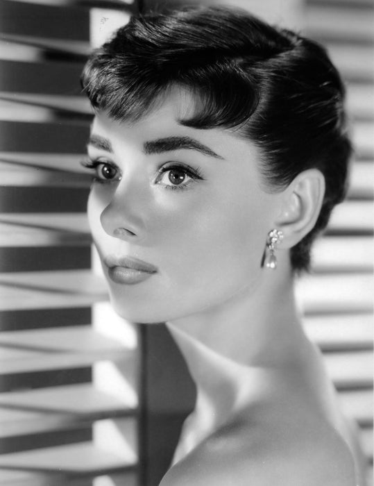 Audrey Hepburn Glamorous Portrait