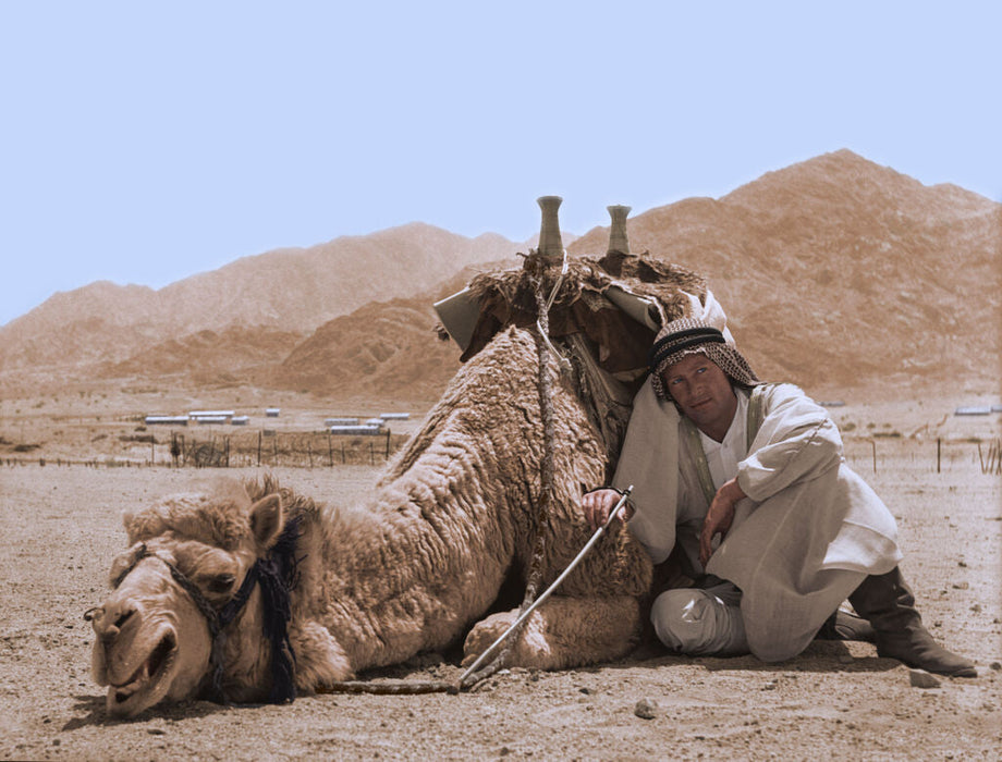 Lawrence of Arabia Camel Scene