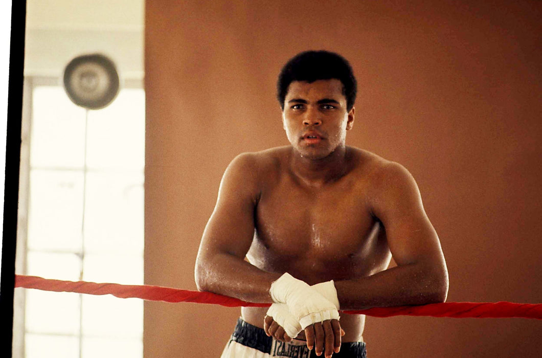 Muhammad Ali in the Ring Landscape