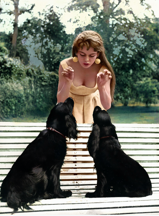 Brigitte Bardot with Her Dogs