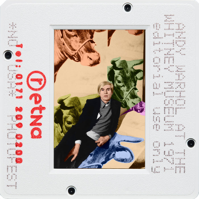 Andy Warhol at The Whitney, 1971